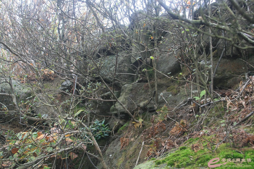 20161112 179.jpg