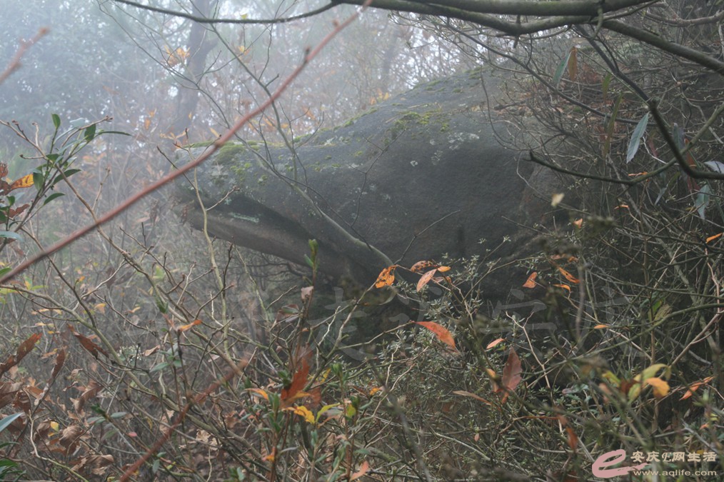 20161112 182.jpg