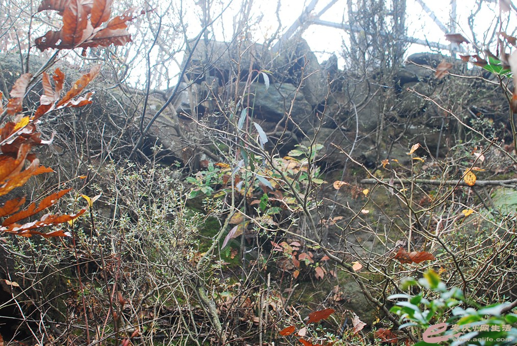 DSC_1413.jpg