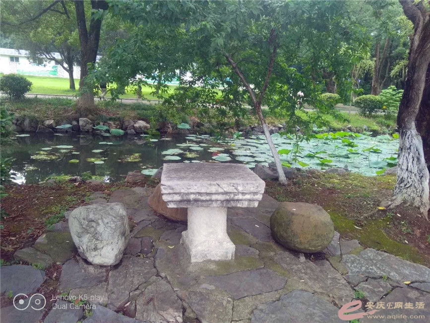 ΢ͼƬ_20200619214655_.jpg