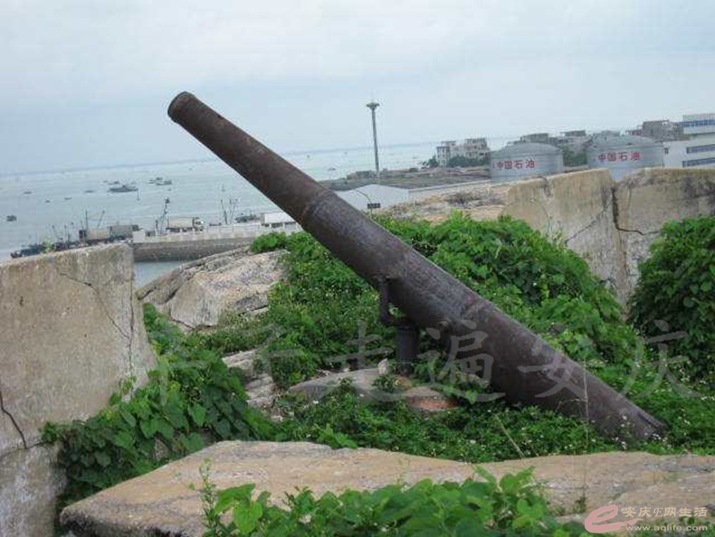 DSC_4683.jpg