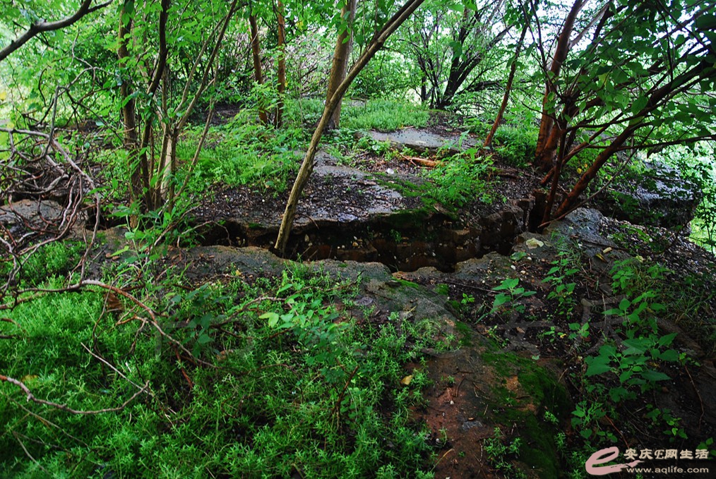 DSC_4704.jpg