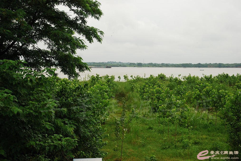 DSC_4691.jpg