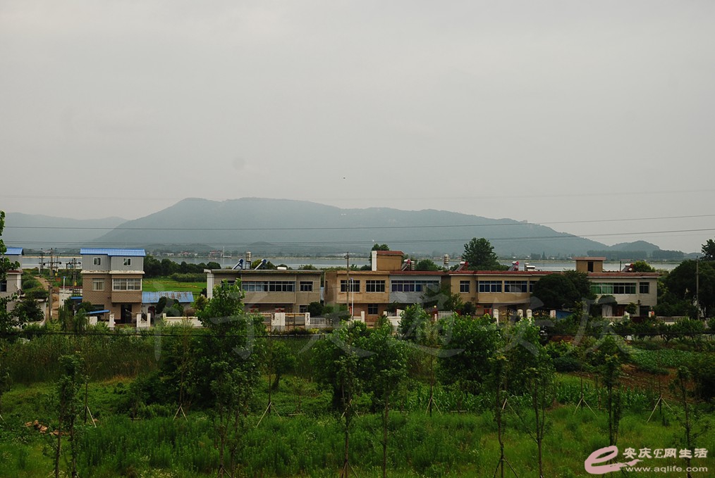 DSC_4702.jpg