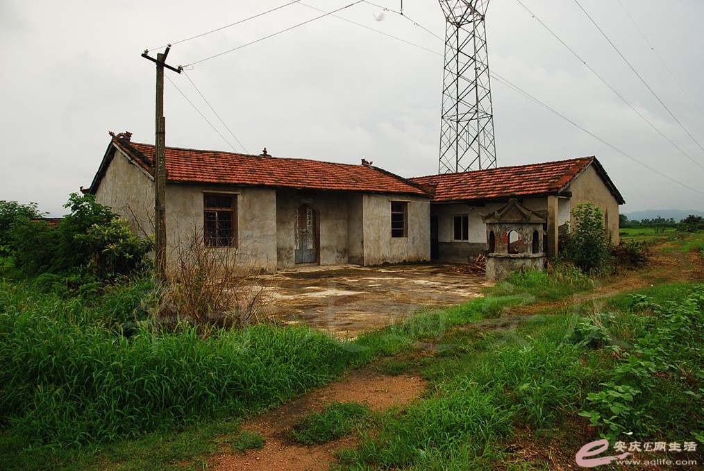 DSC_4718.jpg