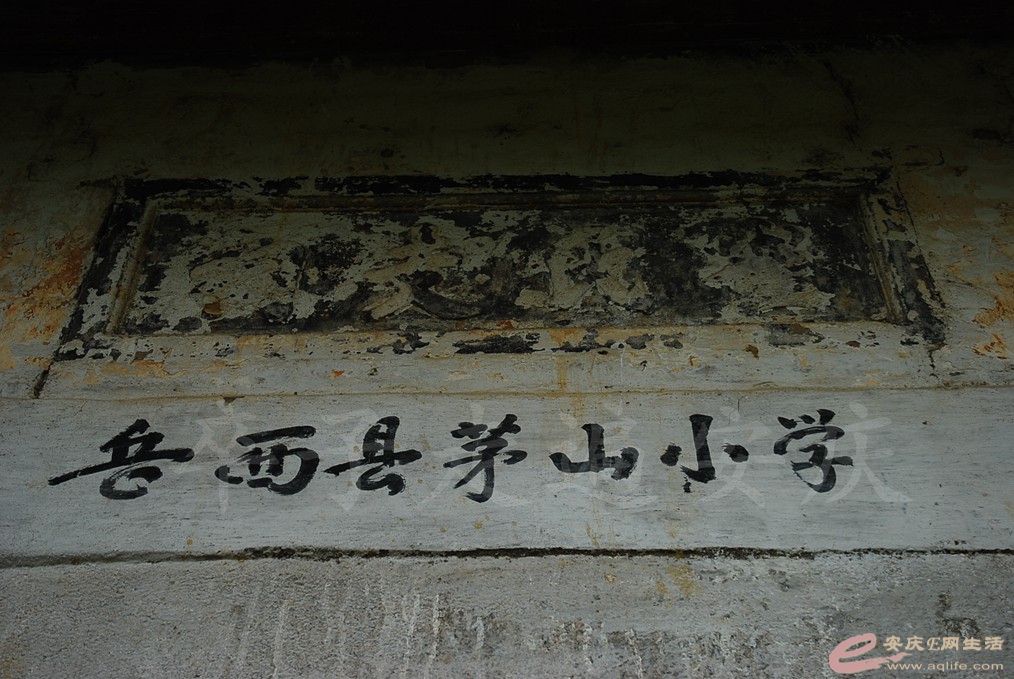 DSC_4873.jpg