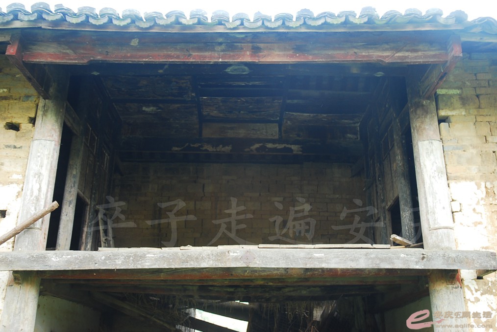 DSC_4884.jpg