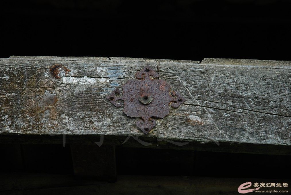 DSC_4892.jpg