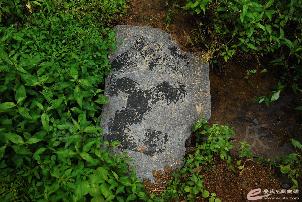 DSC_4896.jpg
