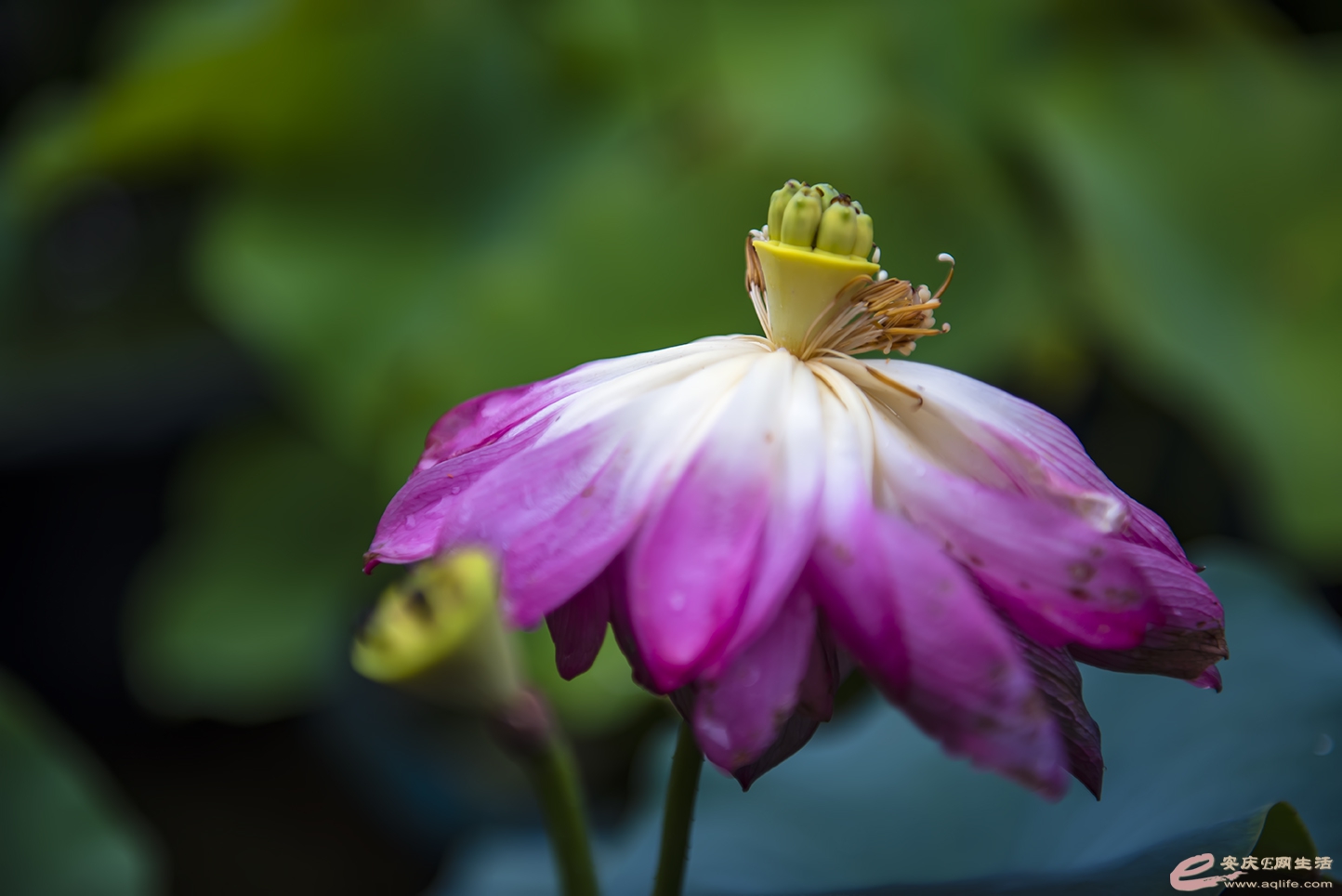 D75_7564.jpg