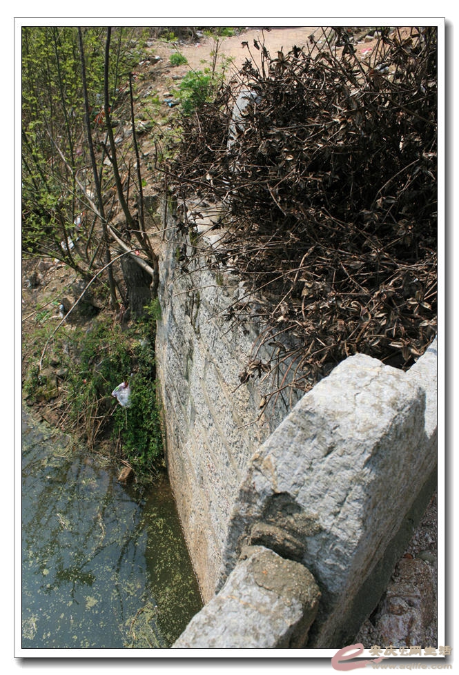 20150328 099.jpg