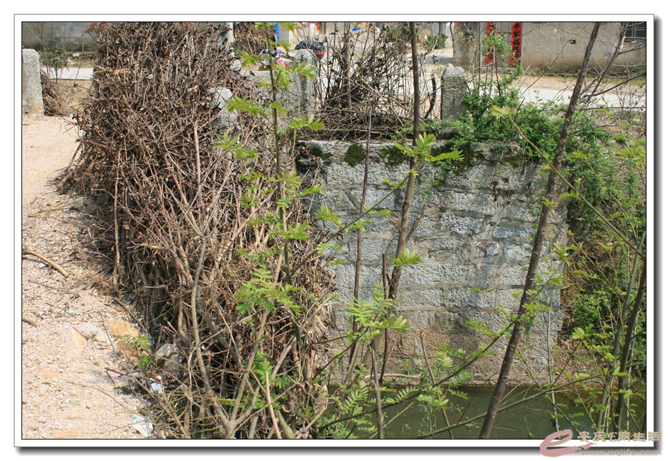 20150328 095.jpg