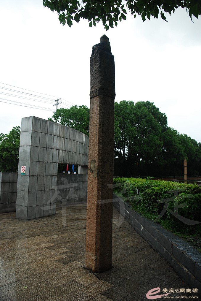 DSC_4737.jpg