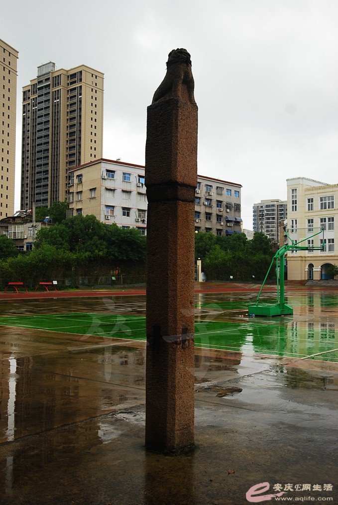 DSC_4744.jpg