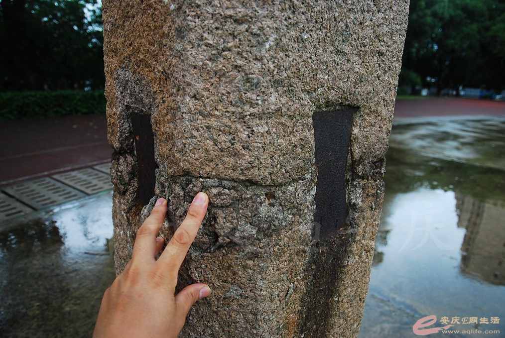 DSC_4749.jpg