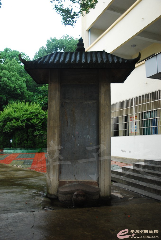 DSC_4753.jpg