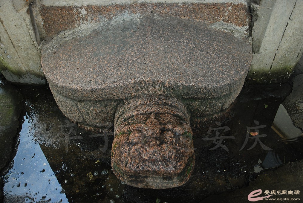 DSC_4754.jpg