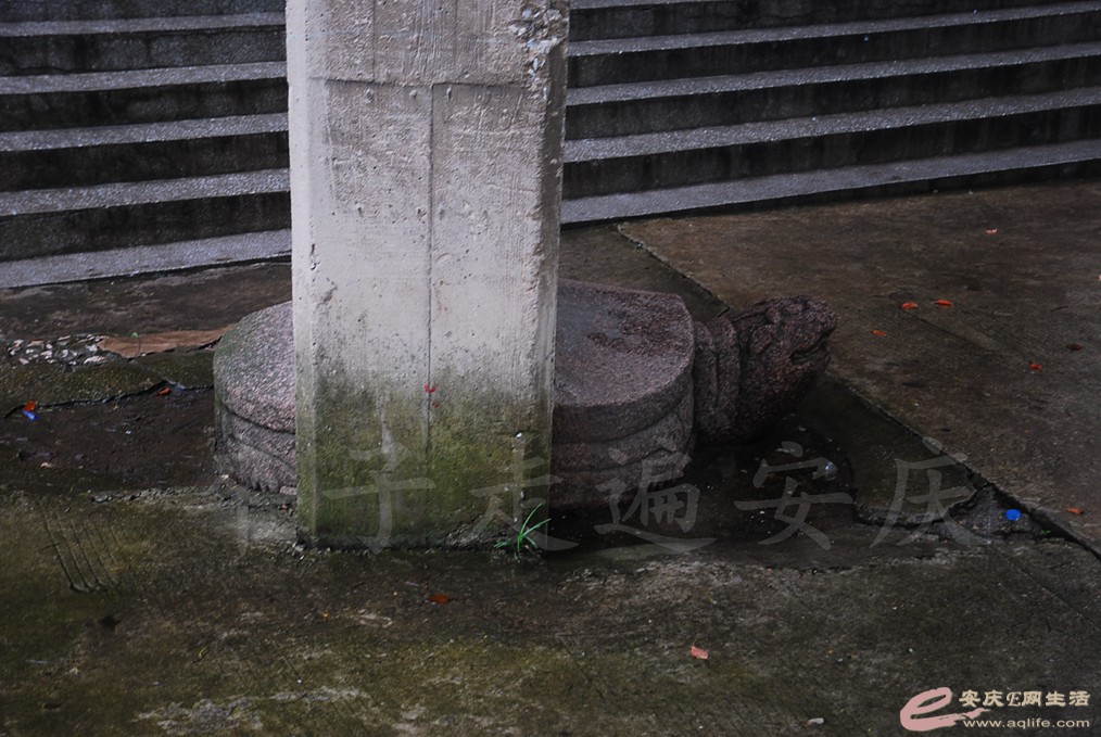 DSC_4755.jpg