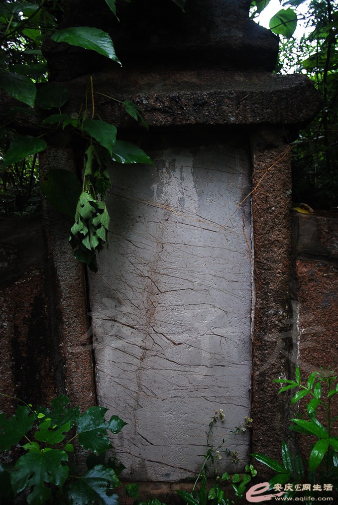 DSC_4785.jpg