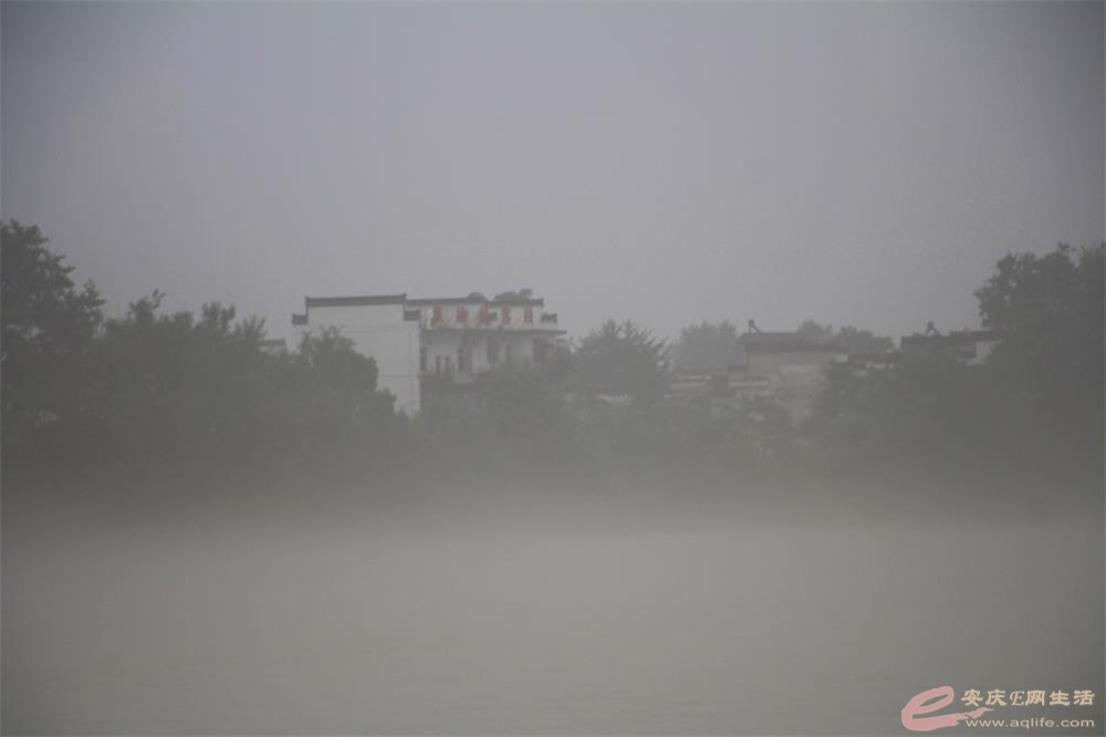 IMG_5323_ͼ.jpg
