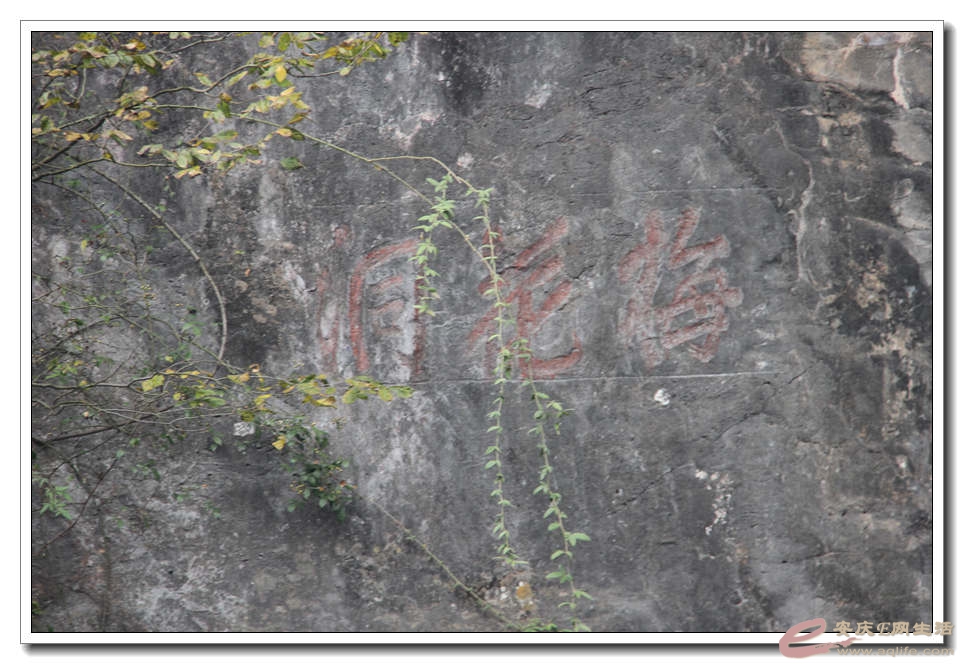 20141115 1400.jpg