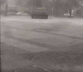 640 (6).gif