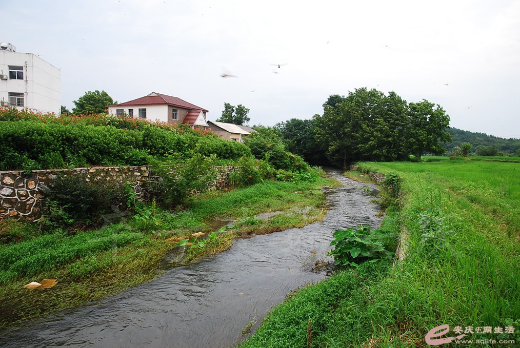 DSC_5025.jpg