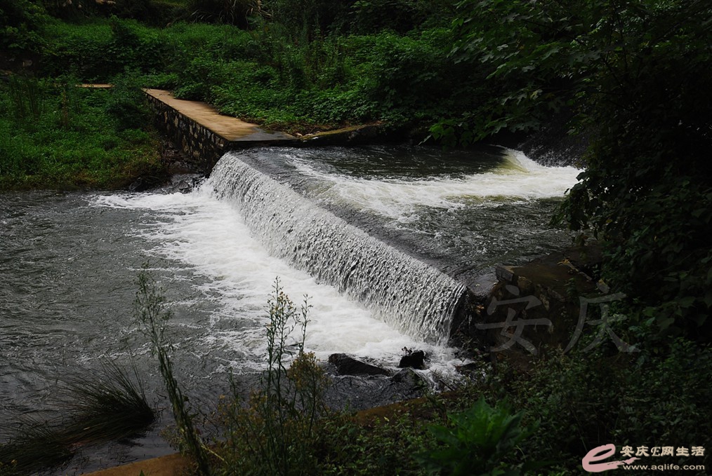 DSC_5035.jpg