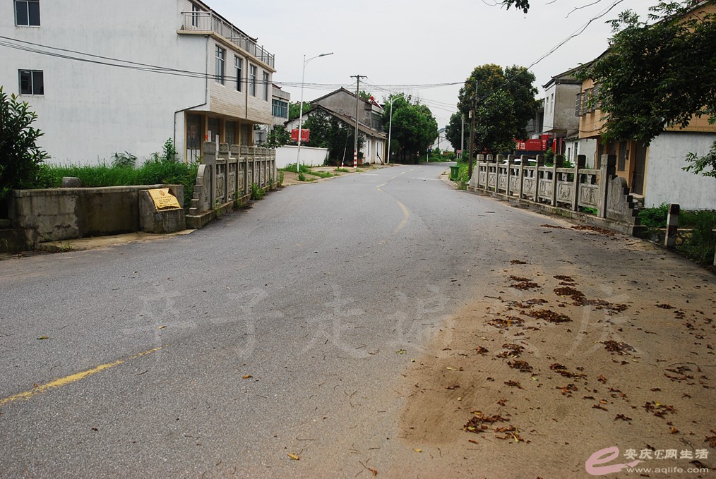 DSC_5036.jpg
