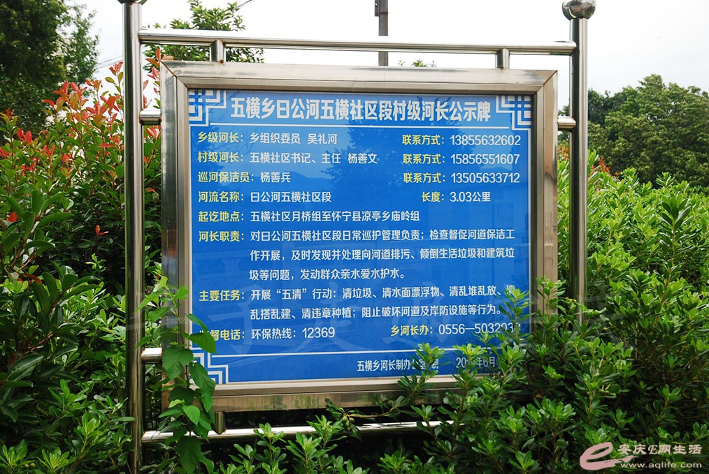 DSC_5037.jpg