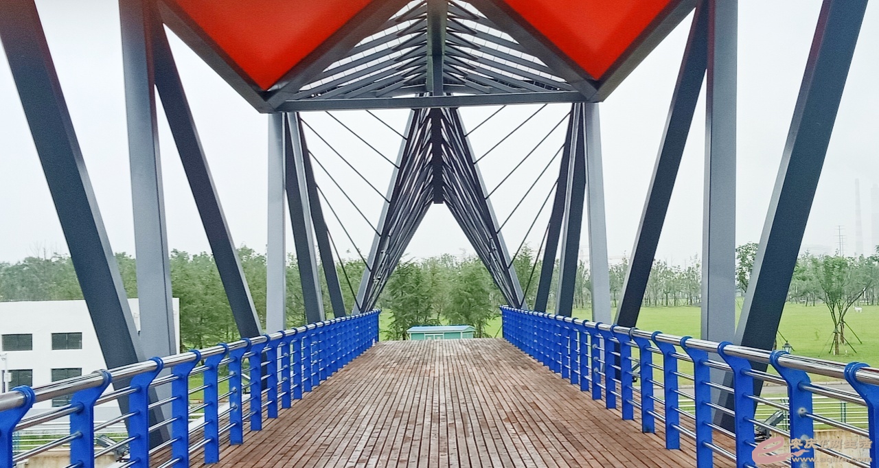 1595376174824954.jpeg
