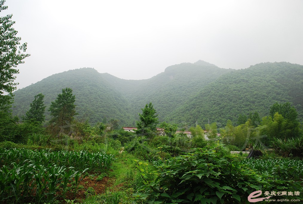 DSC_6572.jpg
