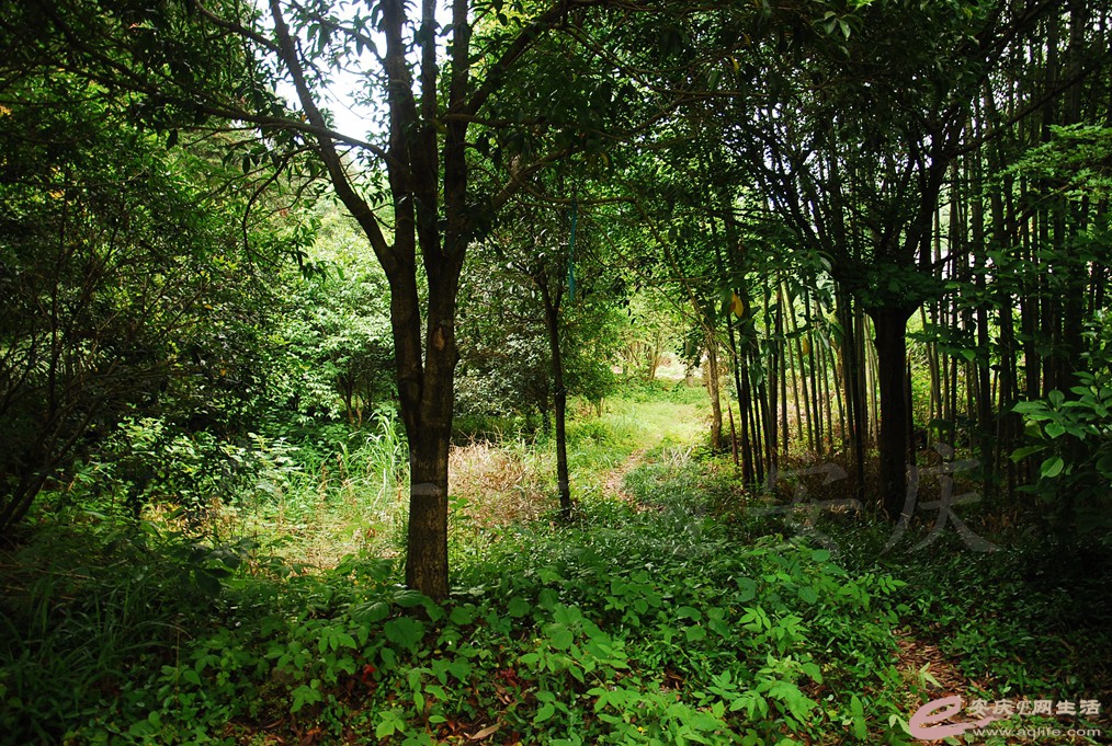 DSC_6584.jpg