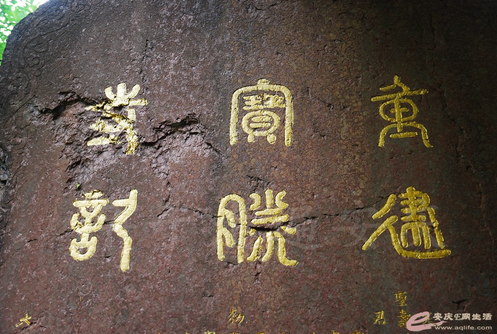 DSC_6636.jpg