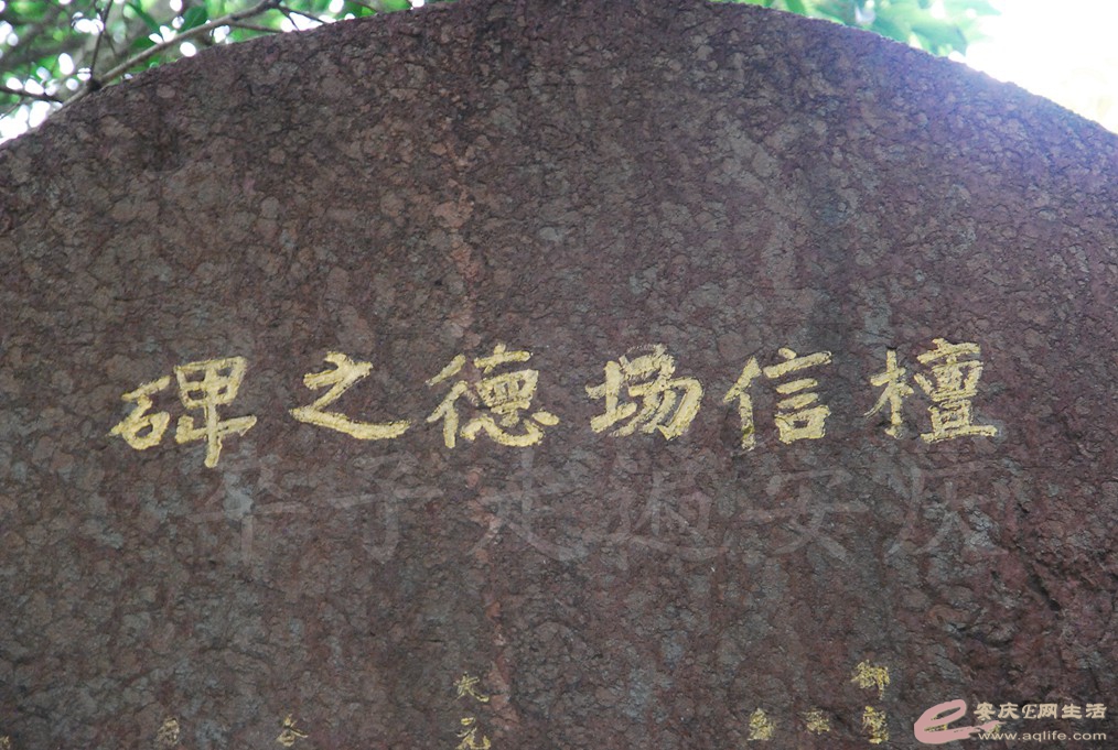 DSC_6647.jpg