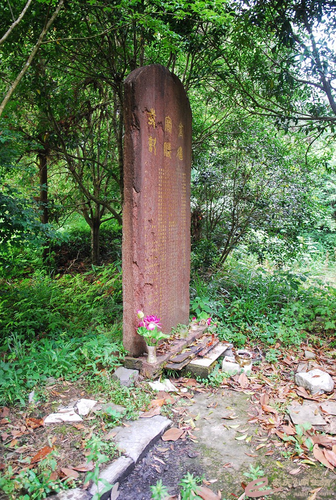 DSC_6657.jpg