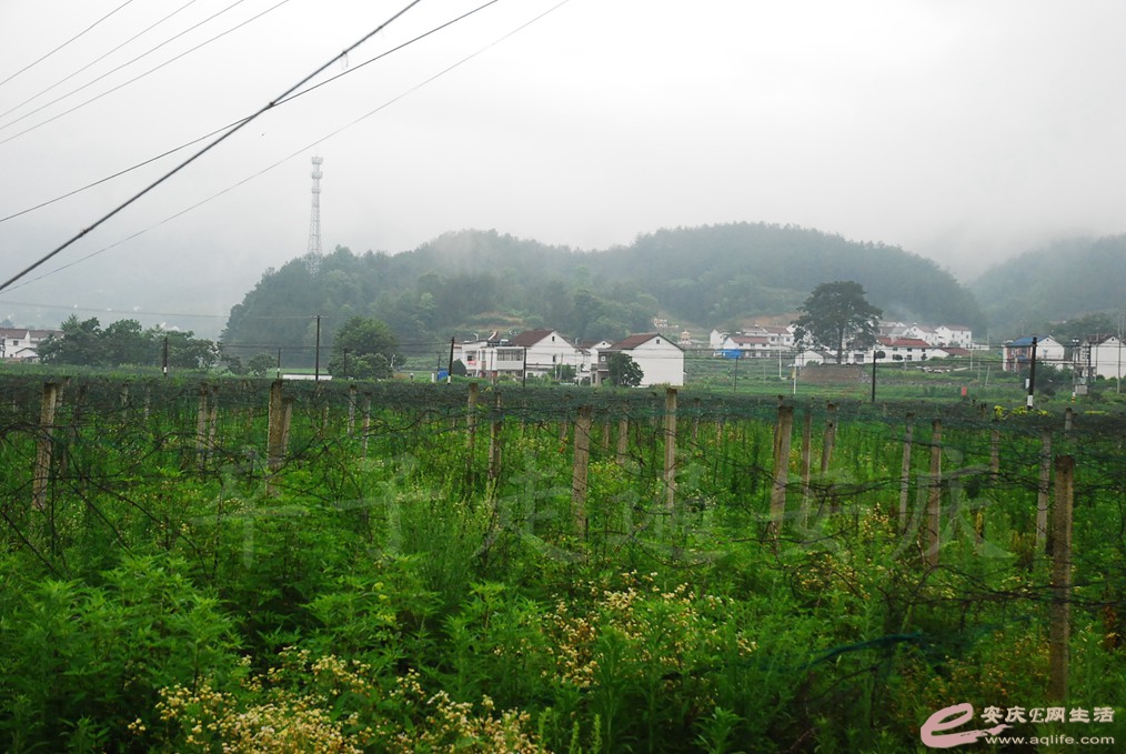 DSC_4830.jpg