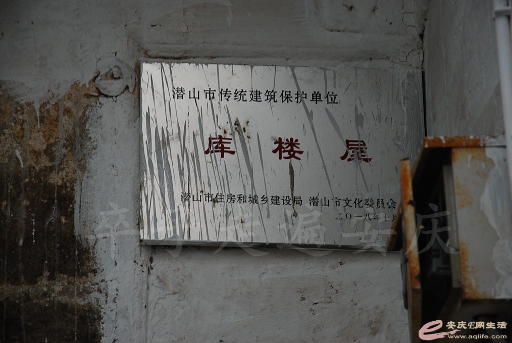 DSC_4833.jpg