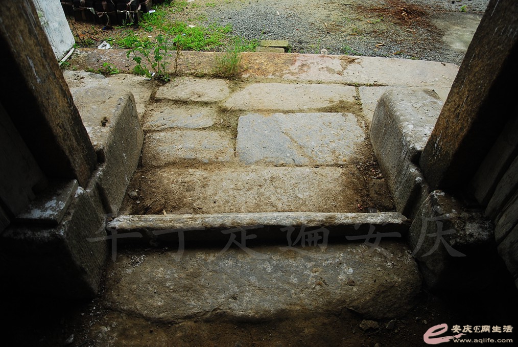 DSC_4836.jpg