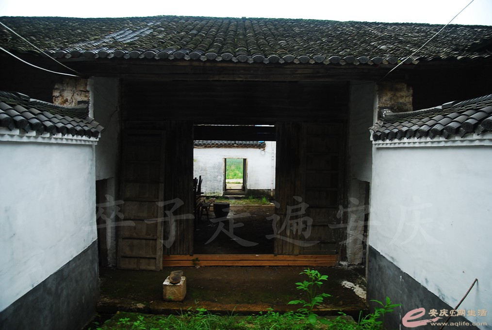 DSC_4839.jpg