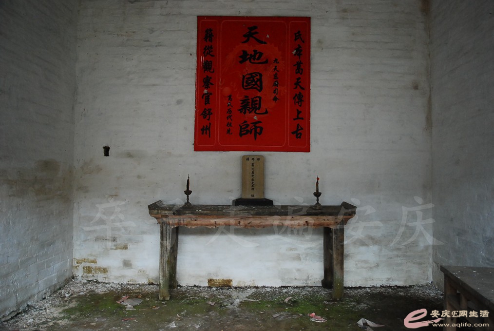 DSC_4848.jpg