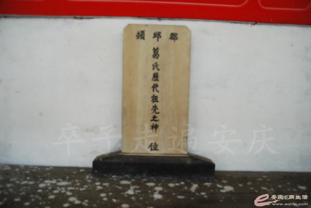 DSC_4849.jpg