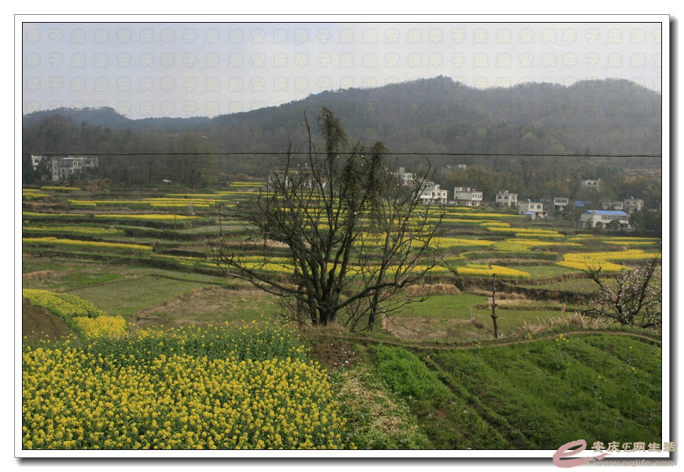 20150321 000.jpg