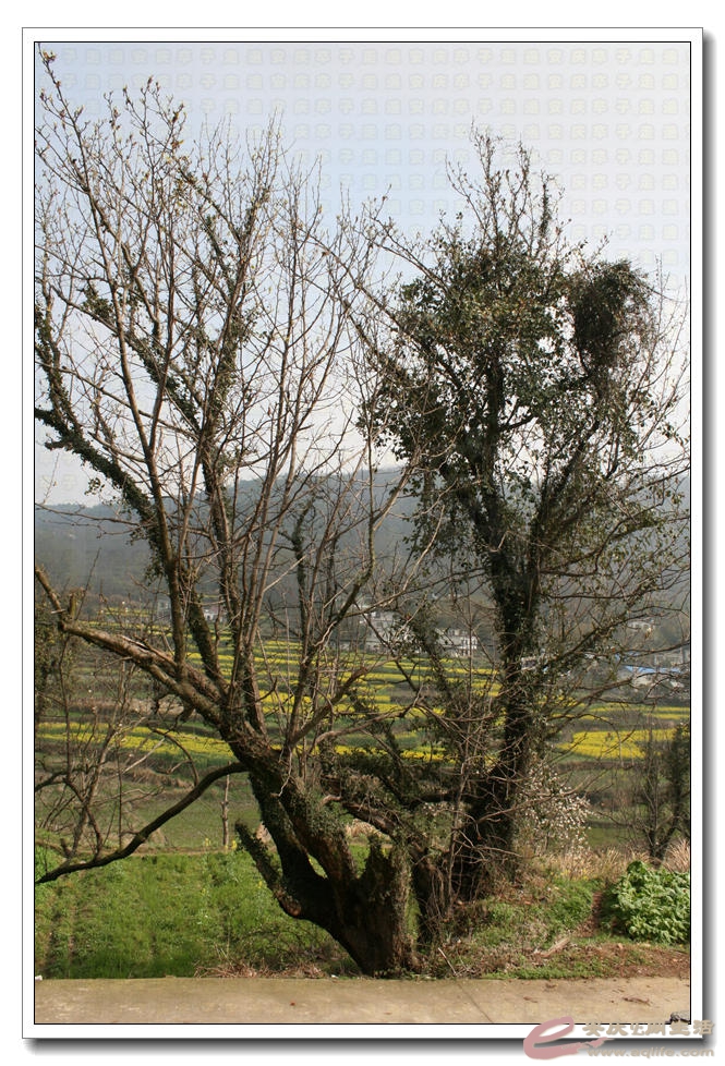 20150321 007.jpg