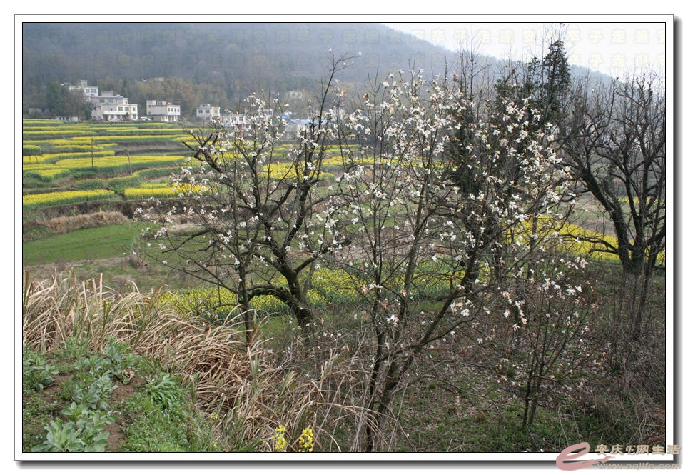 20150321 018.jpg