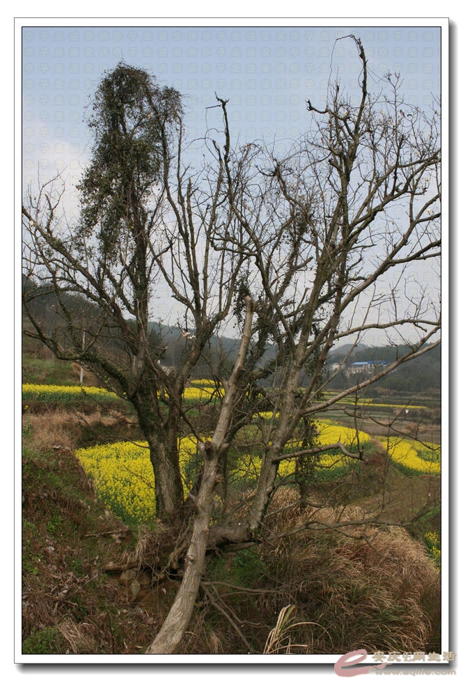 20150321 021.jpg