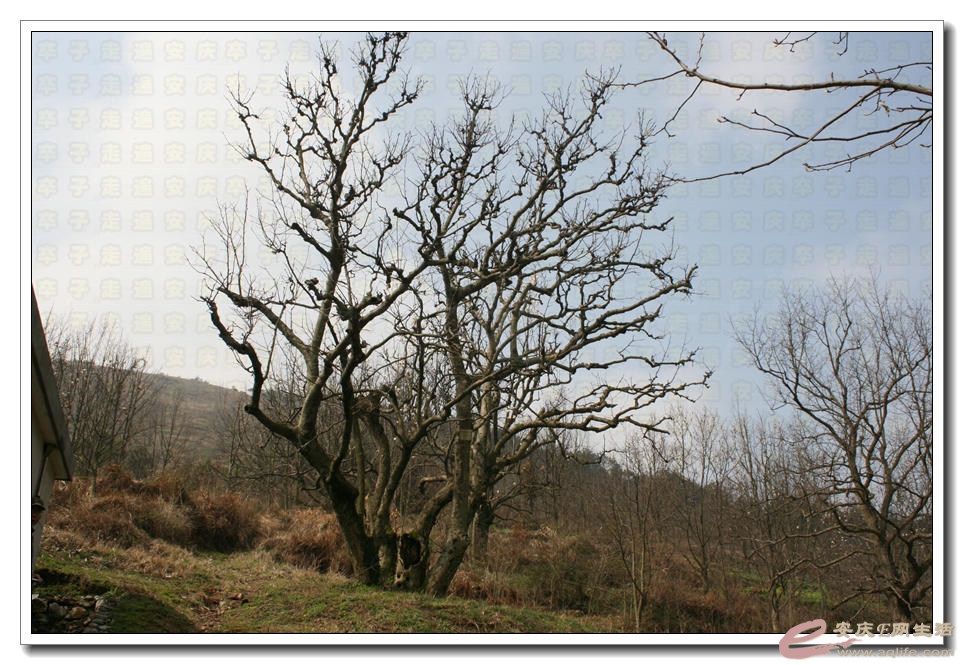 20150321 042.jpg