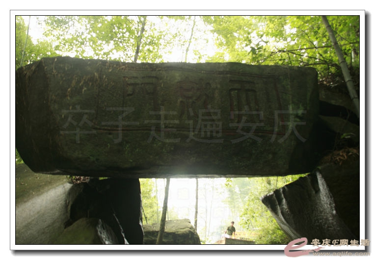 20140719 257.jpg