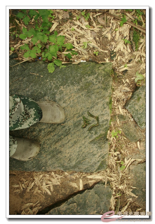 20140719 258.jpg