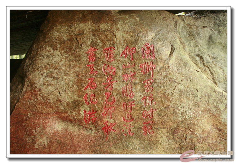 20140719 263.jpg